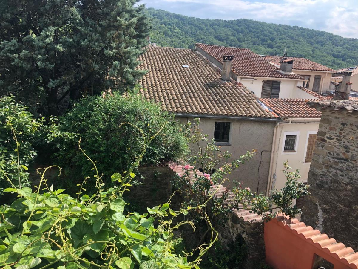 La Provence Authentique A 30 Minutes Des Plages Collobrieres Exterior photo