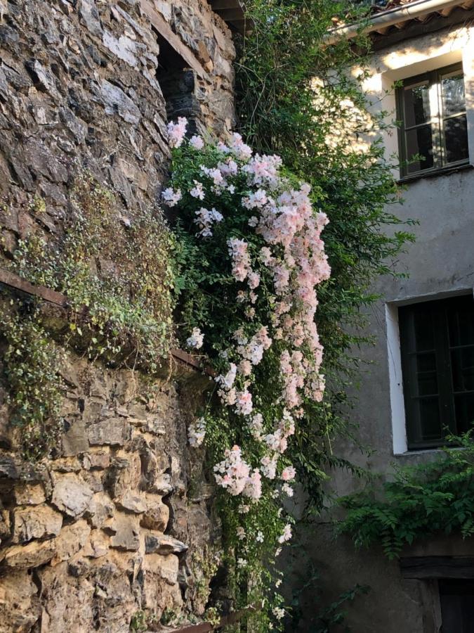 La Provence Authentique A 30 Minutes Des Plages Apartment Collobrieres Exterior photo